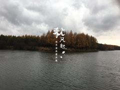 -塞罕坝国家级自然保护区