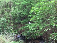 -马峦山郊野公园