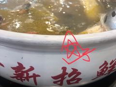 -新招鲜本地鸡窝(平凉路店)