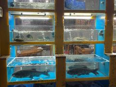 -淳安二十八道·新派民间菜·淳鱼馆(阳光路店)