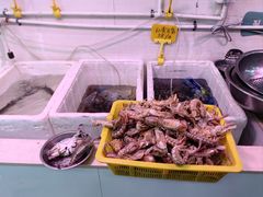 -红灯笼龙凤饭店(宁波老字号店)