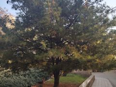 -森林公园(尖草坪区)