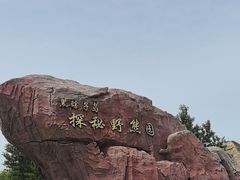 -黑瞎子岛探秘野熊园