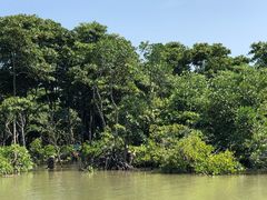 -东寨港红树林旅游区