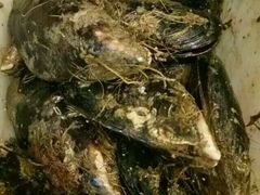 -合家小菜餐馆(新诚花苑店)