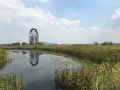 -太湖湖滨国家湿地公园-停车场