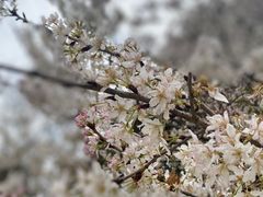 -贵阳市花溪国家城市湿地公园