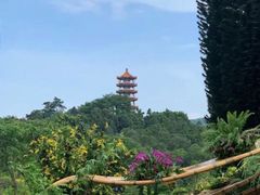 -深圳仙湖植物园