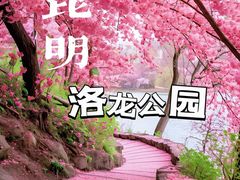 -洛龙公园