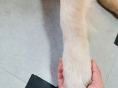 -汪说·狗咖(旺城大厦店)