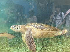 -广州海洋馆