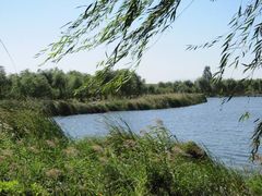 -秀水公园