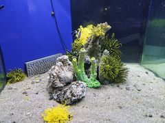 -蓬莱欧乐堡海洋极地世界