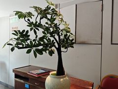 -顺峰(农展馆店)