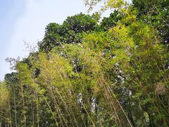-南沙蒲洲花园