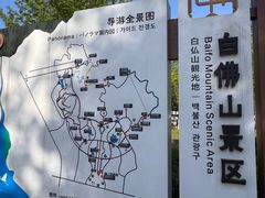 -白佛山景区
