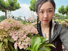 -IL paperino帕帕里诺冰激凌