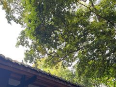 -成都杜甫草堂博物馆