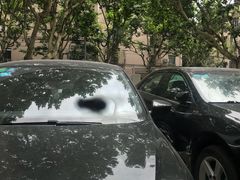 -阿英煲(凉城路店)