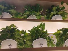 -160烧烤(香坊店)