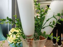 -探窝·竹笙椰子鸡(杨箕店)