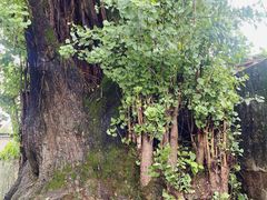 -西溪南古村落