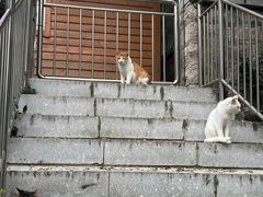-贮水山儿童公园