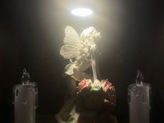 -雪灵魔法世界SHELLY’S TAROT(大良桂畔里店)