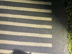 -荔香公园