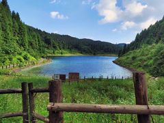 -武陵山森林公园