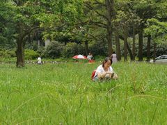 -贵州省植物园