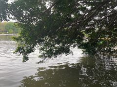 -西湖公园(鼓楼区)