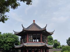 -碧江金楼