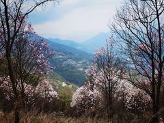 -九皇山景区