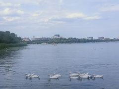 -长春市南湖公园