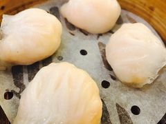 虾饺-添好运点心专门店(深水埗店)