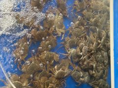 -阳澄湖大闸蟹·琼灵阁牌品牌连锁(吴中总店)