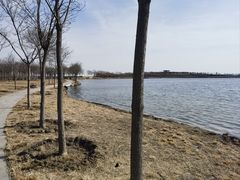 -天津东丽湖风景区