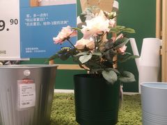 -IKEA宜家家居(南京商场)
