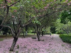 -白塘生态植物园
