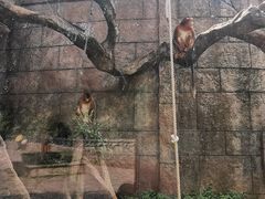 -南昌动物园
