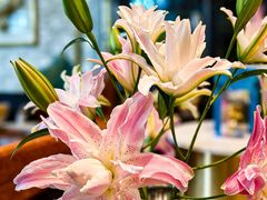 -德米火锅(深圳湾1号旗舰店)