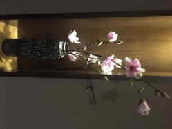 -盘子女人坊生日照·摄影馆(华强店)