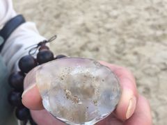 -海云台海滩