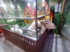 -上海大自然野生昆虫馆(东方明珠·爬宠昆虫探索中心)
