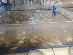-半岛听涛蒸汽海鲜自助(K11店)