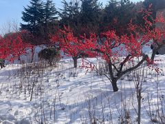 -威海华夏城景区