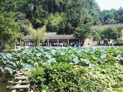 -韶山毛泽东同志故居