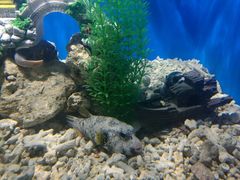 -绍兴梦享海洋公园