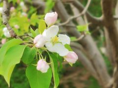 -元大都城垣遗址公园